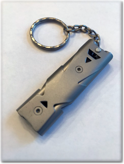 (image for) Stainless Steel Training Whistle