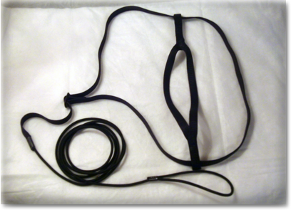 Exotic Parrot Training Tool - Harness