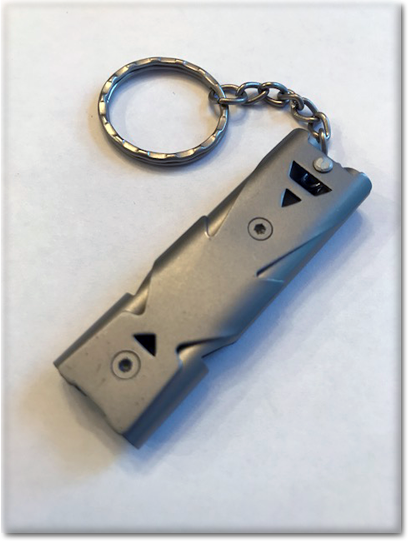 Stainless Steel Training Whistle